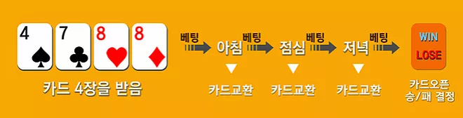 룰루바둑이기본카드사진.png